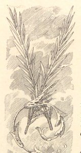 A044128_0119