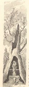 A044128_0217