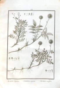 A064100_0296