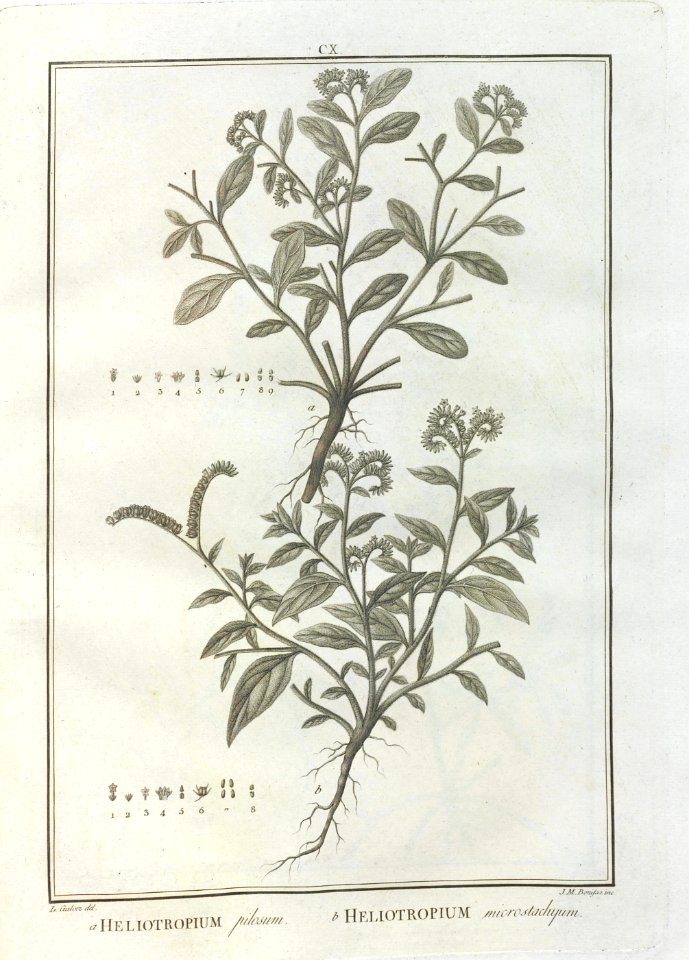 A064101_0090