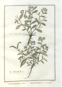A064101_0090