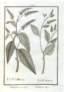A064101_0162