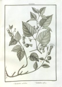 A064101_0230