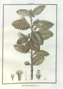 A064101_0240