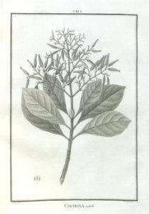 A064101_0250