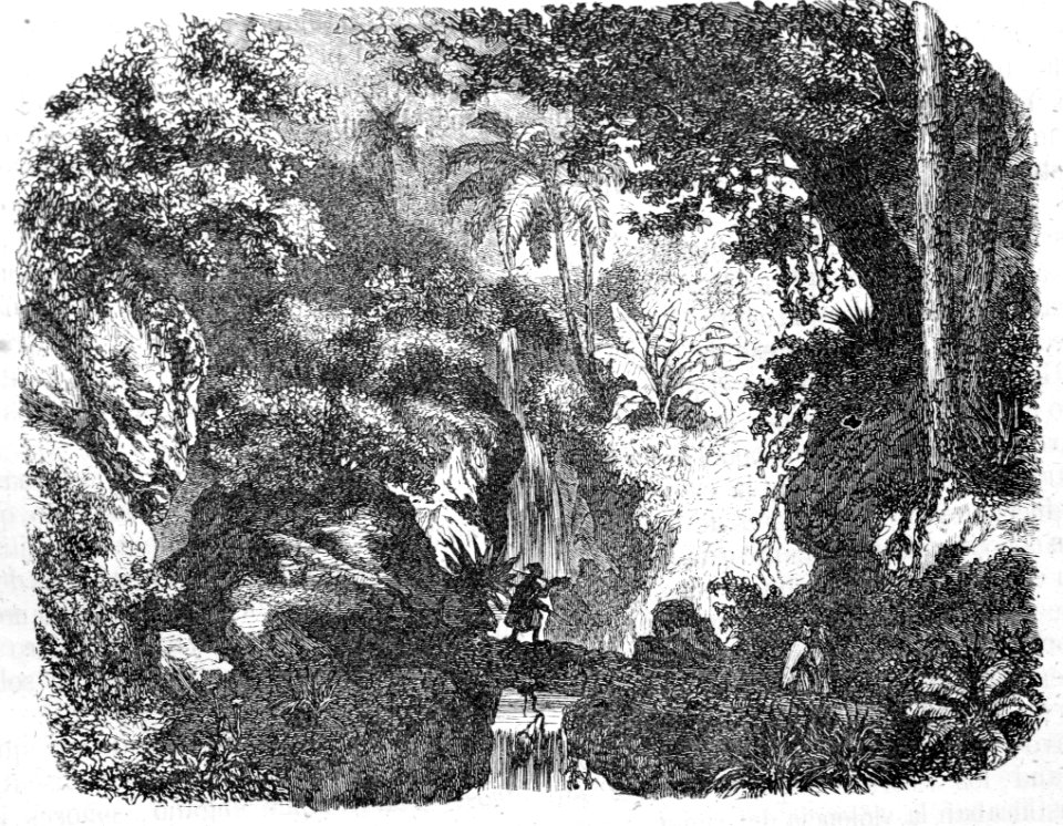 Envenenamiento de M. Gustavo Fougnies, por M. de Bocarmé. …