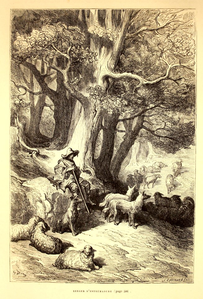 "Berger d'Estrémadure"