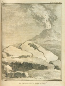 AG099_0594