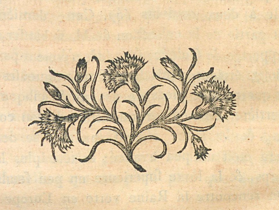AG099_0661