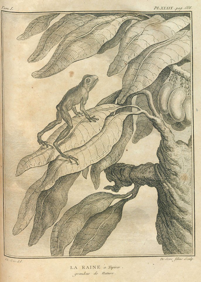 AG099_0670