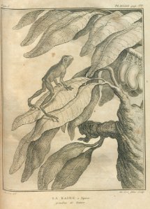 AG099_0670