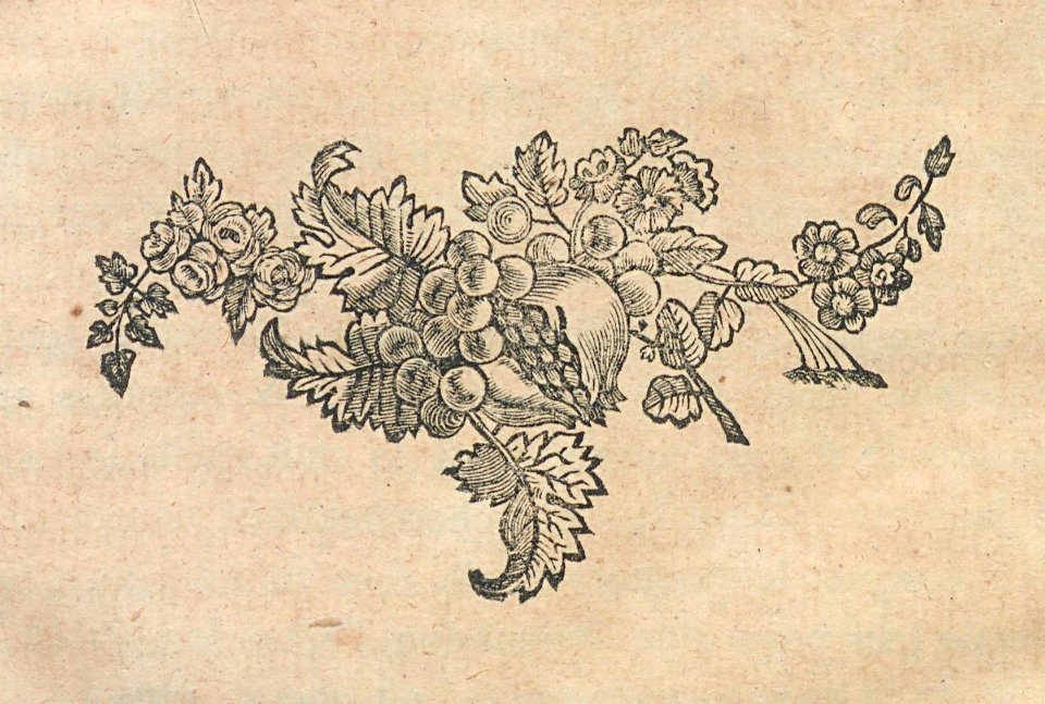 AG099_0699