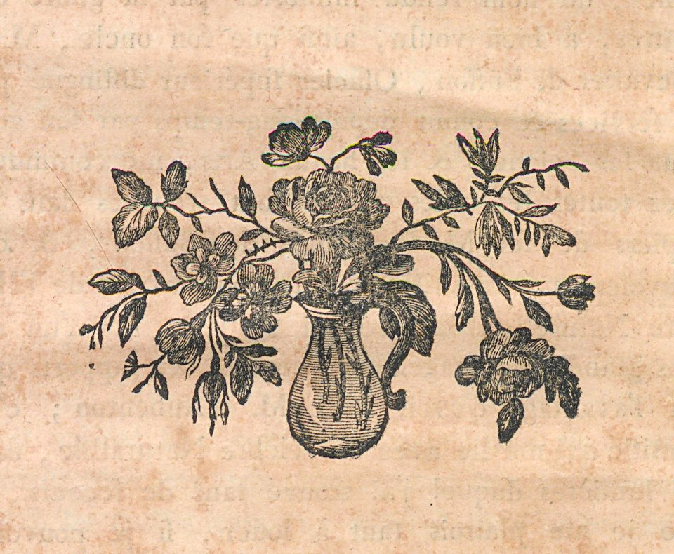 AG100_0019
