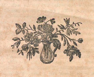 AG100_0019