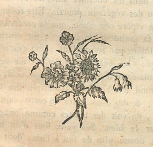 AG100_0236
