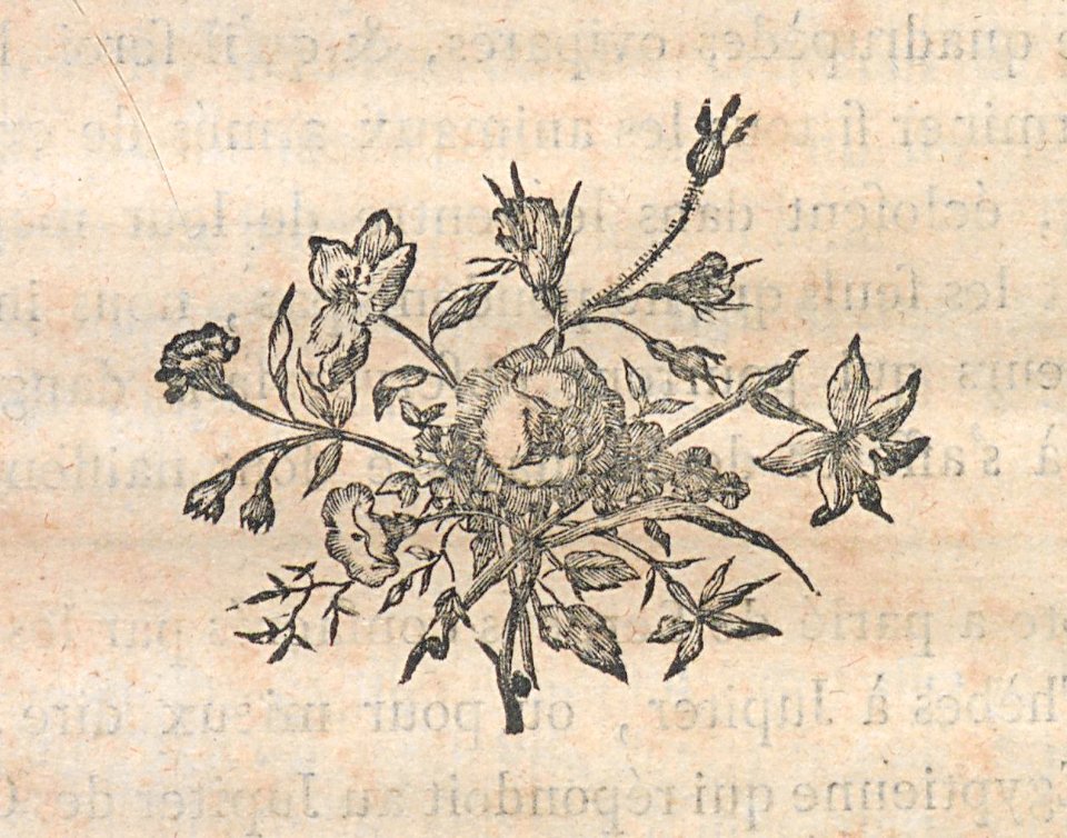 AG100_0259