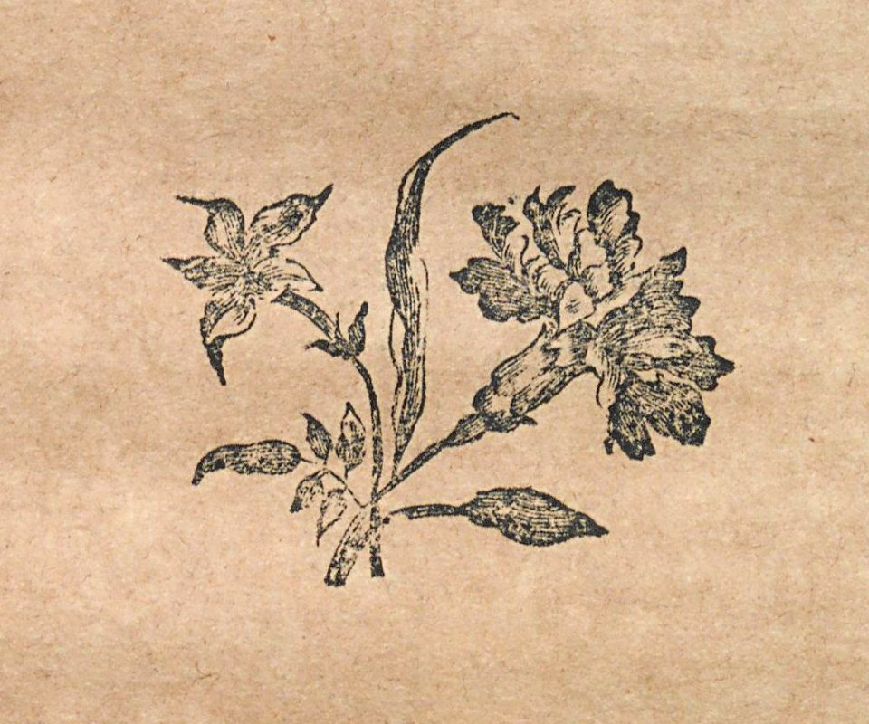 AG100_0280