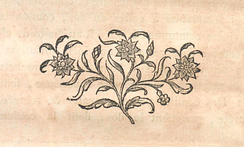 AG100_0293