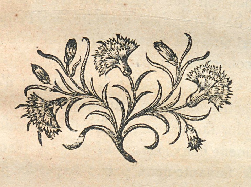 AG100_0296