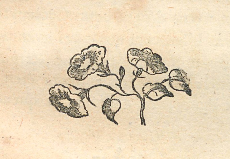 AG100_0318