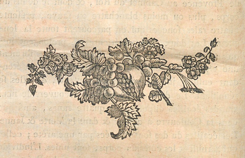 AG100_0351