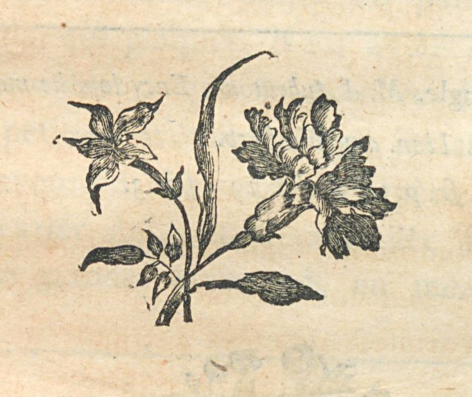 AG100_0372