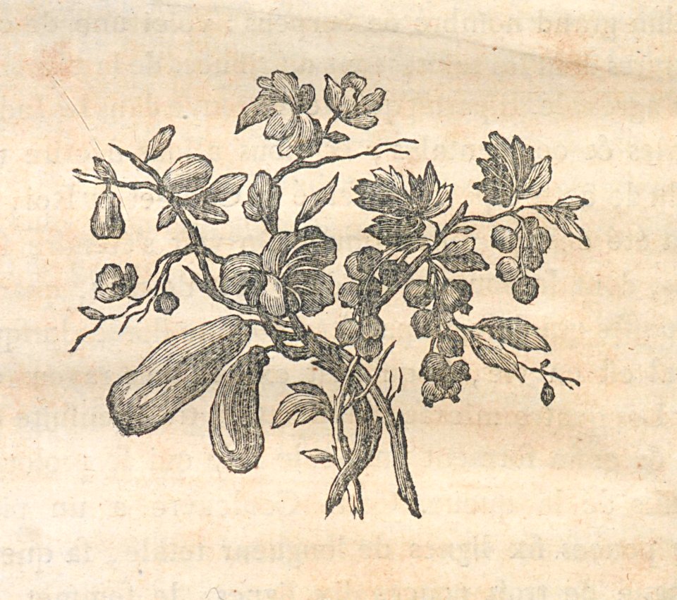 AG100_0391
