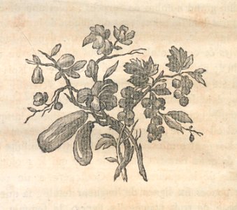 AG100_0391