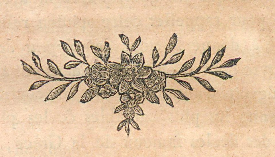 AG100_0397
