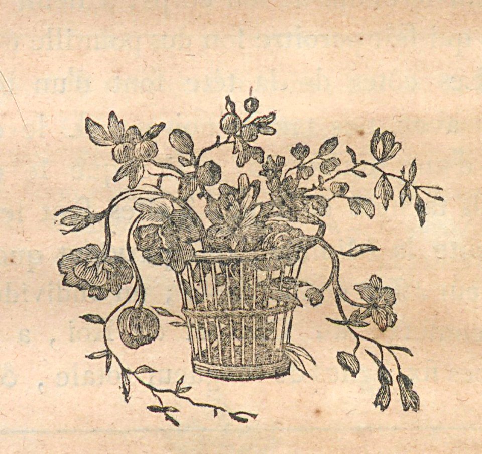 AG100_0401