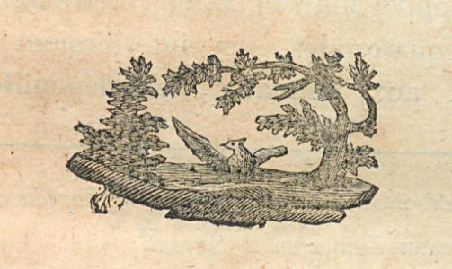 AG100_0402