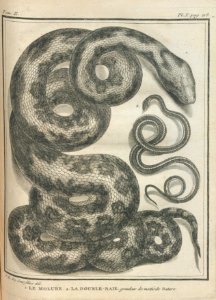 AG100_0410