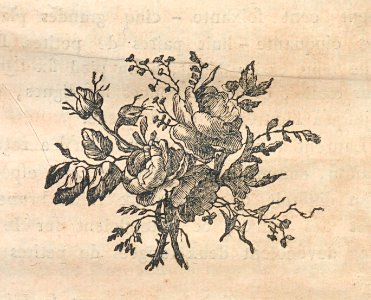 AG100_0431