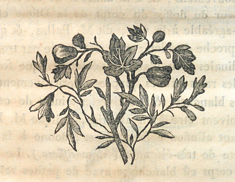 AG100_0438