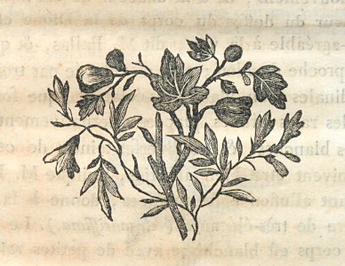 AG100_0438