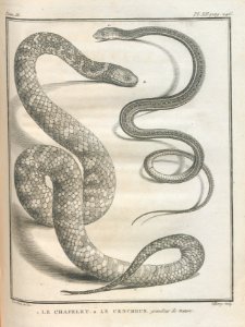 AG100_0442