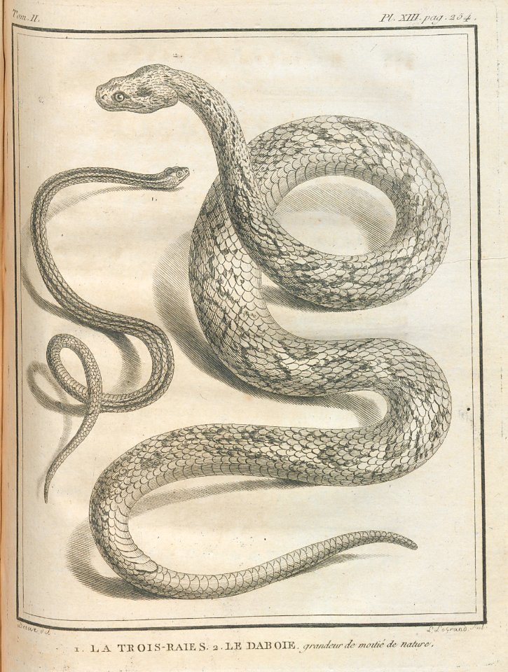 AG100_0452