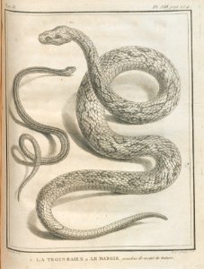 AG100_0452