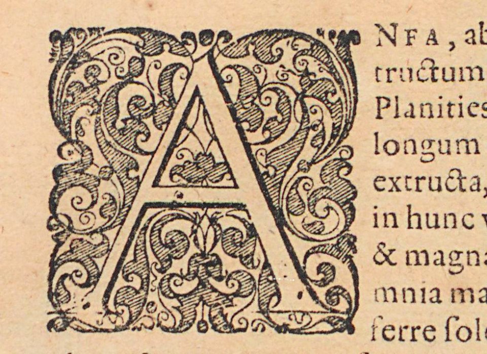 ARes73111_0256