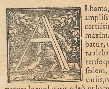 ARes73112v1_0026