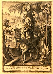 AD099_0196