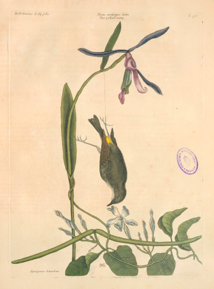 T058