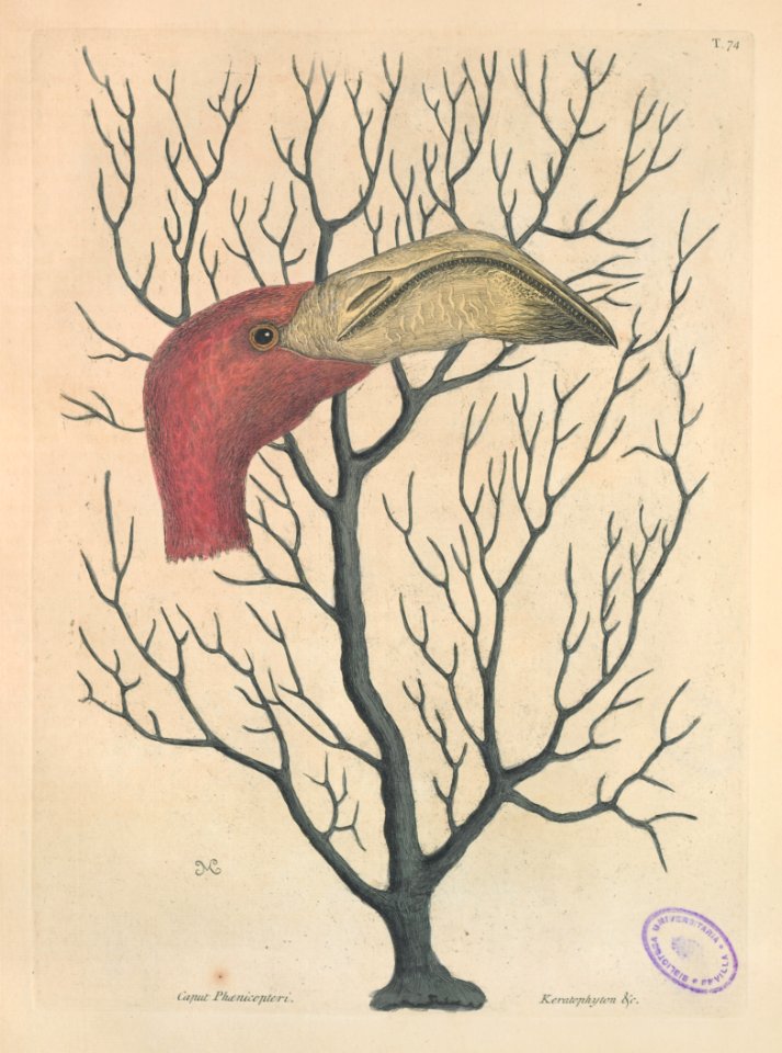 T074