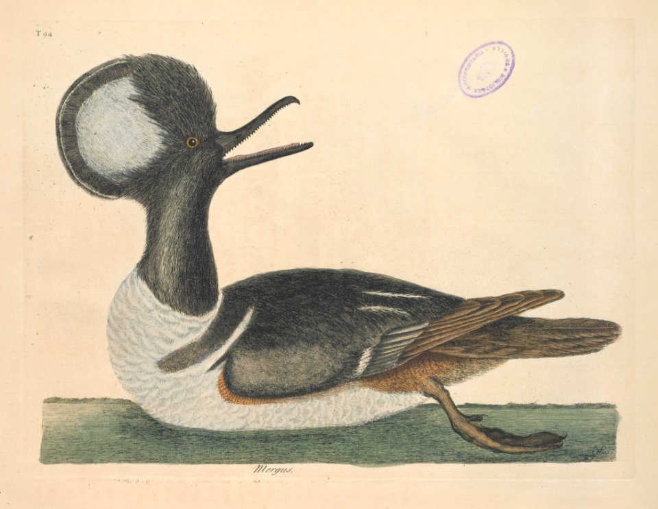 T094