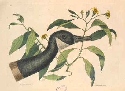 T092