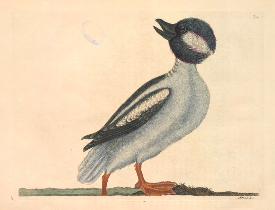 T095