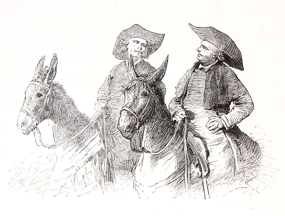 202_119_quijote_cap47