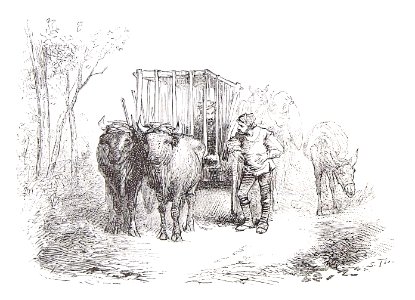 202_121_quijote_cap48