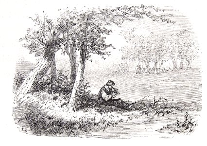 202_124_quijote_cap50