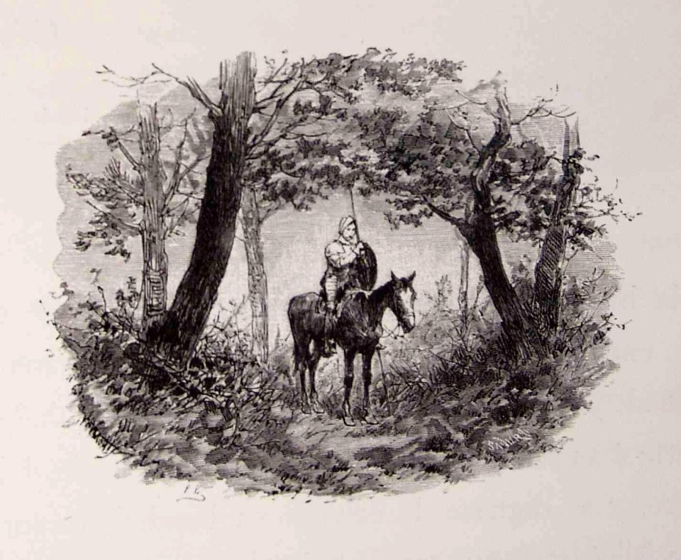 202_151_quijote_cap09
